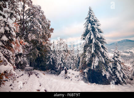 Due stagioni - autunno e inverno scena nel parco. Foto Stock