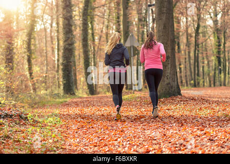 Vista posteriore di due montare giovane donna jogging insieme attraverso una foresta di autunno in un sano stile di vita attivo concept Foto Stock