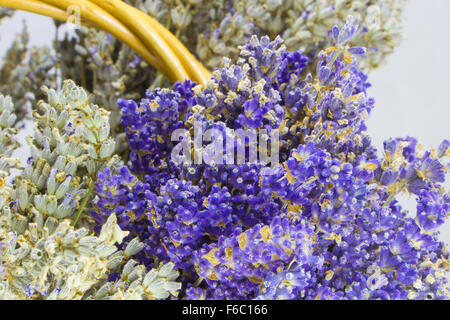 Bel mazzo di fiori di lavanda in un bascket Foto Stock