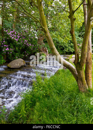 La cascata nel giardino a Newstead Abbey vicino Ravenshead NOTTINGHAMSHIRE REGNO UNITO Inghilterra ex casa di Lord Byron Foto Stock