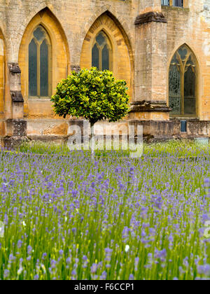 Vista sul giardino spagnolo a Newstead Abbey vicino Ravenshead NOTTINGHAMSHIRE REGNO UNITO Inghilterra ex casa di Lord Byron Foto Stock