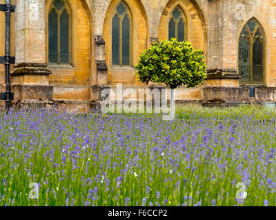 Vista sul giardino spagnolo a Newstead Abbey vicino Ravenshead NOTTINGHAMSHIRE REGNO UNITO Inghilterra ex casa di Lord Byron Foto Stock