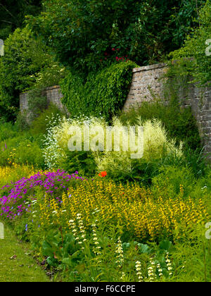 Confine erbaceo nel giardino di Newstead Abbey vicino Ravenshead NOTTINGHAMSHIRE REGNO UNITO Inghilterra ex casa di Lord Byron Foto Stock