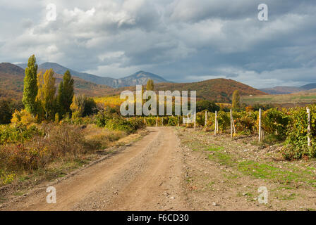 Paesaggio di montagna con la strada di terra tra i vigneti nella penisola della Crimea Foto Stock