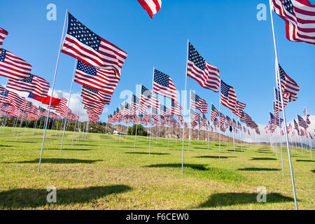 Bandierine americane la visualizzazione del Memorial Day Foto Stock