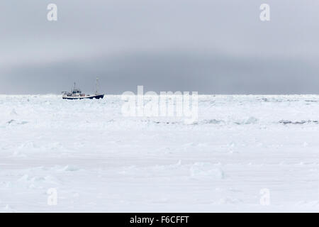 Ricerca bordo nave della banchisa, Oceano Artico, isola Spitsbergen, arcipelago delle Svalbard Isole Svalbard e Jan Mayen, Norvegia, Europa Foto Stock