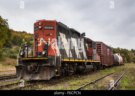 Il Canadian National GP9 locomotore lungo naso in avanti passando attraverso Huntsville Ontario in una torbida giornata di ottobre. Foto Stock