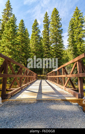 Ponte di Legno attraversando Hyalite Creek in Hyalite Canyon vicino a Bozeman, Montana Foto Stock