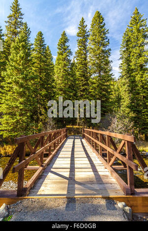Ponte di Legno attraversando Hyalite Creek in Hyalite Canyon vicino a Bozeman, Montana Foto Stock