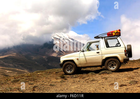 Jack Russell Terrier un cane femmina viaggi nelle montagne delle Ande in un 4X4 vecchia Jeep Foto Stock