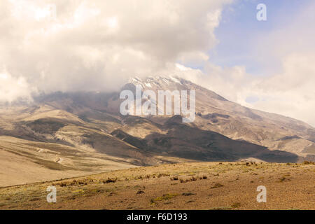 Vulcano Chimborazo, è attualmente inattivo Stratovulcano nella Cordillera Occidental gamma delle Ande Foto Stock
