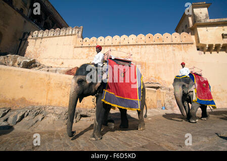 Gli uomini seduti su elefante, Forte Amer, Jaipur, Rajasthan, India, Asia Foto Stock