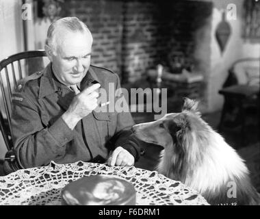 Data di rilascio: Aprile 20, 1945. Il titolo del filmato: Figlio di Lassie. STUDIO: Metro Goldwyn Mayer (MGM). Trama: . Nella foto: LASSIE come Lassie. Foto Stock