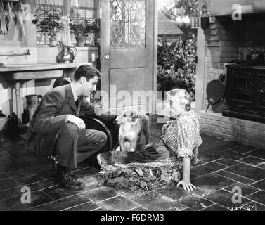 Data di rilascio: Aprile 20, 1945. Il titolo del filmato: Figlio di Lassie. STUDIO: Metro Goldwyn Mayer (MGM). Trama: . Nella foto: LASSIE come Lassie. Foto Stock