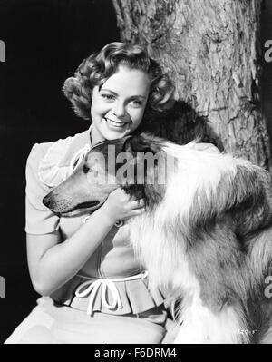 Data di rilascio: Aprile 20, 1945. Il titolo del filmato: Figlio di Lassie. STUDIO: Metro Goldwyn Mayer (MGM). Trama: . Nella foto: LASSIE come Lassie e GIUGNO LOCKHART come Priscilla. Foto Stock