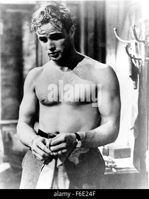 Data di rilascio: Settembre 18, 1951. Il titolo del filmato: A Streetcar Named Desire. STUDIO: Warner Bros Le foto. Trama: Blanche è realmente bisogno di una protezione in questa fase della sua vita quando le circostanze lo portano a pagare una visita per la sua sorella più giovane stella a New Orleans. Lei non capisce come Stella, che è in attesa del primo figlio, potrebbe avere scelto un marito così privo di raffinatezza. Stanley Kowalski's buddies vieni a casa per giocare a carte e uno di loro, Mitch, trova Blanche attraente finché Stanley gli racconta che tipo di donna Blanche è veramente. Che cosa succederà quando Stel Foto Stock