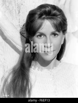 Data di rilascio: Settembre 18, 1963. Il titolo del filmato: l'ossessione. STUDIO: Argyle imprese. Trama: il dottor Markway, facendo ricerche per provare l'esistenza dei fantasmi, indaga Hill House, una grande e misteriosa mansion con un conto sensazionale storia di morte violenta e la pazzia. Con lui sono scettico giovane Luca che sta per ereditare la casa, il misterioso e chiaroveggente Teodora e insicuro Eleanor, la cui capacità psichiche fanno di lei si sentono in qualche modo in sintonia con qualunque spiriti abitano la vecchia magione. Con il passare del tempo diventa chiaro che hanno ottenuto più di essi contrattati per come il fantasma delle prese Foto Stock