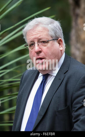 A Downing Street, Londra, 17 novembre 2015. Segretario dei trasporti Patrick McLoughlin arriva a Downing Street settimanale per la riunione di gabinetto. Credito: Paolo Davey/Alamy Live News Foto Stock