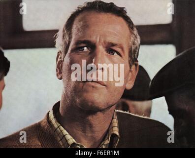 Il 1 gennaio, 1970 - Paul Newman sul set del film, il mackintosh uomo, 1973 (credito Immagine: c Glasshouse/Entertainment Immagini) Foto Stock