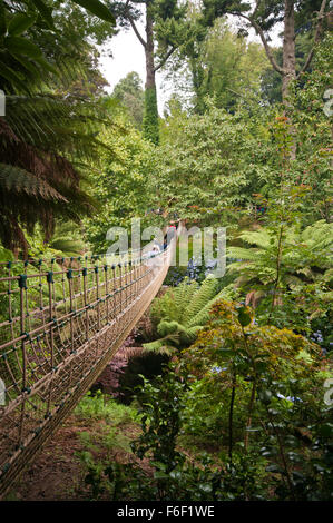 Turisti attraversando il birmano ponte di corde nella giungla tropicale giardino alla Lost Gardens of Heligan Cornwall Inghilterra REGNO UNITO Foto Stock