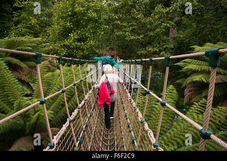 Turisti attraversando il birmano ponte di corde nella giungla tropicale giardino alla Lost Gardens of Heligan Cornwall Inghilterra REGNO UNITO Foto Stock