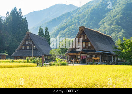 Gassho Zukuri (Gassho-style) case in area Suganuma di Gokayama, Giappone Foto Stock