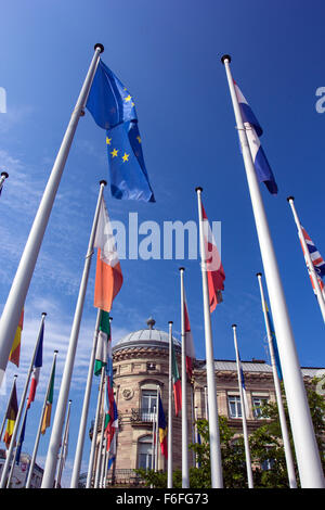 Lo Stato membro dell'UE bandiere volare alto su Strasburgo Foto Stock