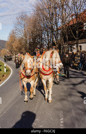 Schliersee, Germania, il Land della Baviera 08.11.2015: Progetto di cavalli in Schlierseefrom Schliersee di Fischhausen per la Chiesa di San Leonardo. Foto Stock