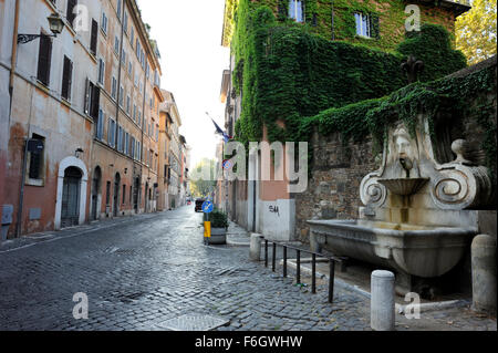 Fontana del Mascherone, via Giulia, Roma, Italia Foto Stock