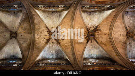 Soffitto di Santa Eulalia, Metropolitan Basilica Cattedrale di Barcellona, Spagna. Lo stile gotico architettura. Barcellona. Foto Stock