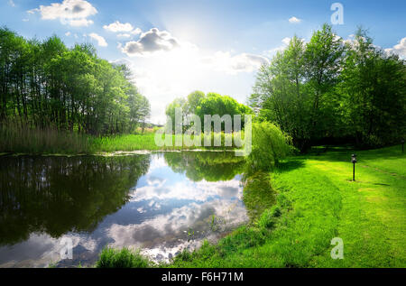 Parco verde vicino al fiume calmo sotto la luce del sole Foto Stock