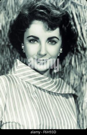 1954, il titolo del film: ELEPHANT WALK, Studio: MGM, nella foto: Elizabeth Taylor, STUDIO, colpo alla testa, ritratto. (Credito Immagine: SNAP) Foto Stock