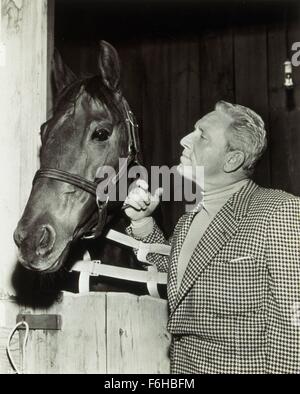 1952, il titolo del film: PAT e Mike, Direttore: George Cukor, Studio: MGM, nella foto: Animali (con attori), George Cukor, cavallo. (Credito Immagine: SNAP) Foto Stock