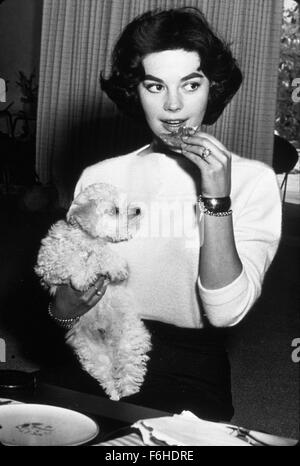 1958, il titolo del film: MARJORIE MORNINGSTAR, Direttore: IRVING RAPPER, nella foto: Animali (con attori), cane, Irving rapper. (Credito Immagine: SNAP) Foto Stock