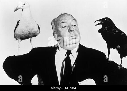 1963, il titolo del film: uccelli, Direttore: Alfred Hitchcock, Studio: universale. (Credito Immagine: SNAP) Foto Stock