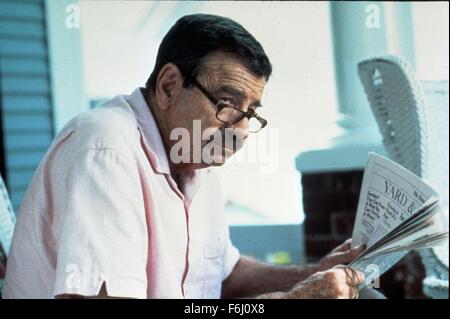 1993, il titolo del film: DENNIS LA MINACCIA, Regia: Nick Castle, Studio: WARNER, nella foto: castello del Nick. (Credito Immagine: SNAP) Foto Stock