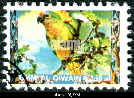 Di UMM - circa 1972: francobollo stampato in Umm Al Quwain, spettacolo bird verde-giallo Parrot, circa 1972 Foto Stock