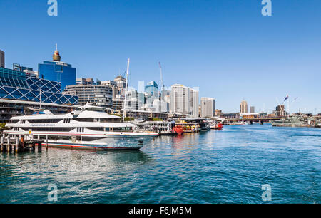 Australia, Nuovo Galles del Sud, Sydney Darling Harbour, Crociera del Porto delle navi ormeggiate al King Street Wharf Promenade Foto Stock
