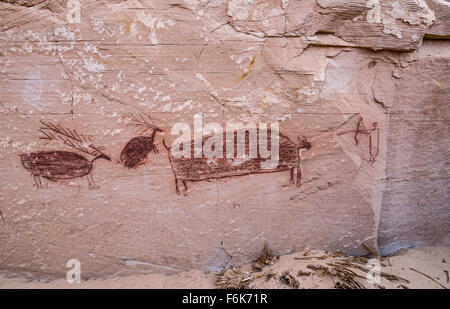 Pittogrammi in ferro di cavallo Shelter, Horseshoe Canyon. Foto Stock