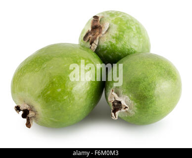 Gustosa feijoa isolato su uno sfondo bianco. Foto Stock