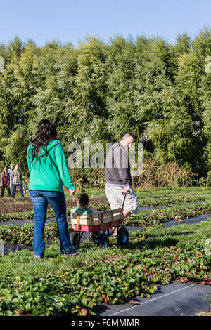 Famiglia a piedi attraverso la Strawberry Fields alla gola Casa Bianca frutta stand vicino Hood River, Oregon, Stati Uniti d'America. Foto Stock