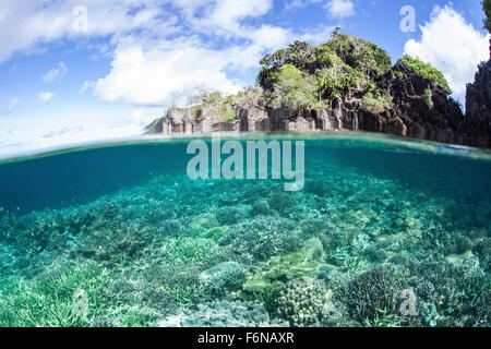 Una bellissima barriera corallina cresce vicino a una serie di isole calcaree in Raja Ampat, Indonesia. Questa remota regione equatoriale è noto un Foto Stock