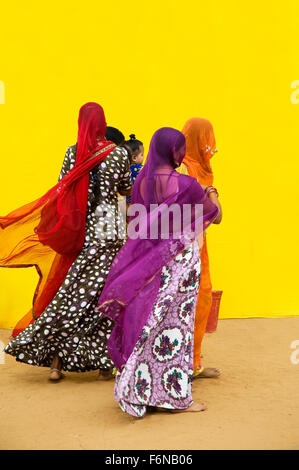 Le donne, pathmeda, godham, Rajasthan, India, Asia Foto Stock