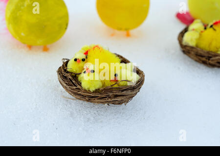 Pasqua Pollo al cestello Foto Stock