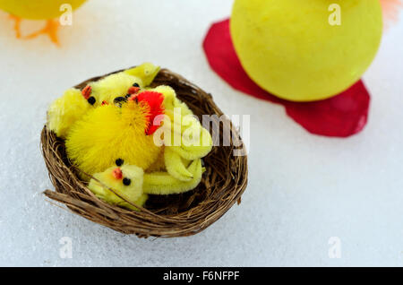 Pasqua Pollo al cestello Foto Stock