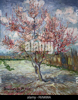 Alberi di pesca rosa (1888) di Vincent van Gogh (1853–1890) Foto Stock