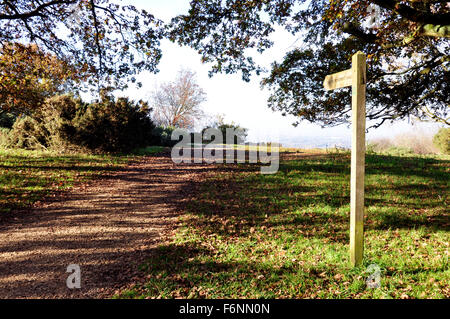 Chiltern Hills - su Beacon Hill - sentiero - dito post - a vista su Aylesbury pianura - la luce del sole e le ombre - autunno Foto Stock