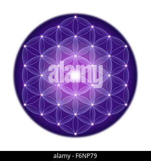Fiore luminoso di vita con stelle su fondo bianco, un simbolo spirituale e Geometria Sacra fin dai tempi antichi. Foto Stock