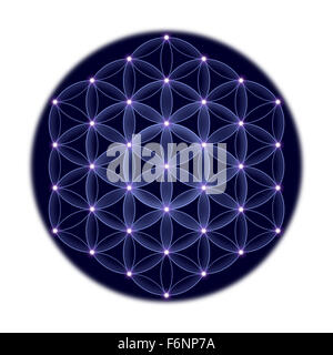 Cosmic Fiore della Vita con le stelle su fondo bianco, un simbolo spirituale e Geometria Sacra fin dai tempi antichi. Foto Stock
