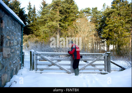 Un uomo lotte per aprire una coperta di neve cancello dopo una notte pesante bufera di neve nelle zone rurali Aberdeenshire in Scozia Foto Stock